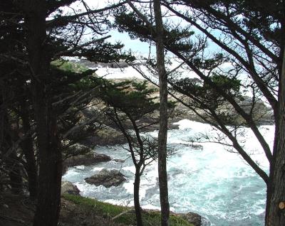 PCH 6