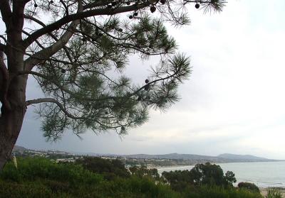 Dana Point