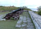 Cannons