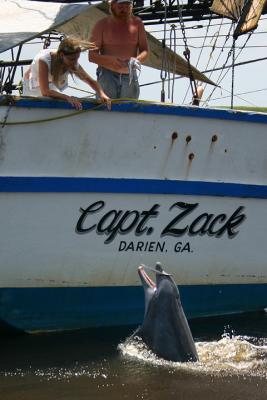 Capt. Zack drops anchor
