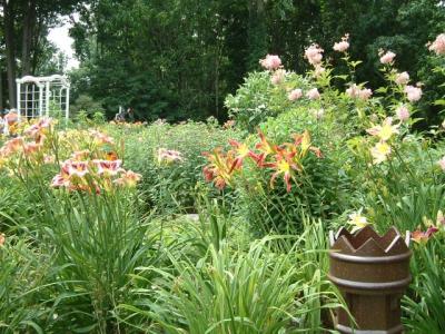 HUGE flower beds in the backyard