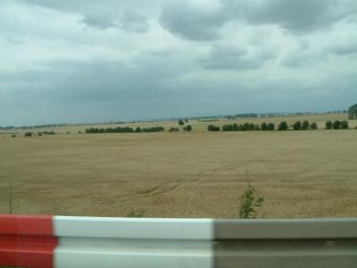 The countryside is covered with various grains ready to cut!