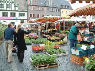 Plants in the market place