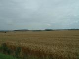 The countryside -- miles and miles of grain