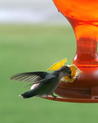 Refueling