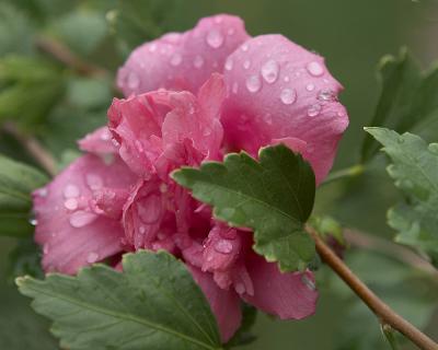 After the Rain