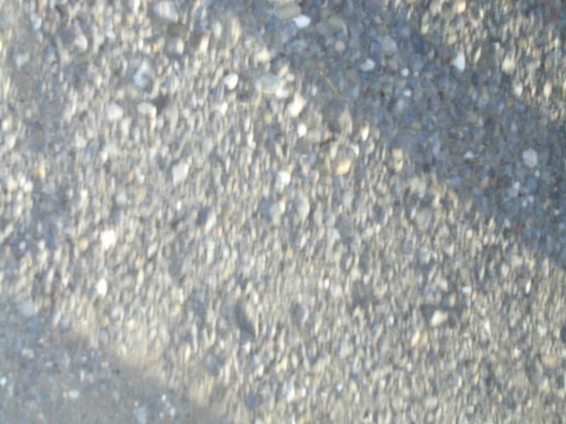 P1010020.JPG