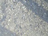 P1010020.JPG