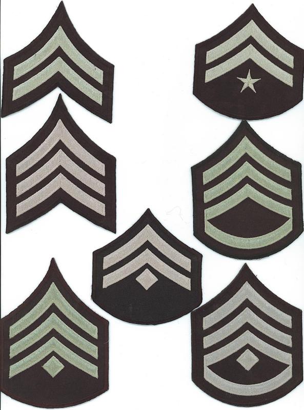 LAPD Rank Insignia