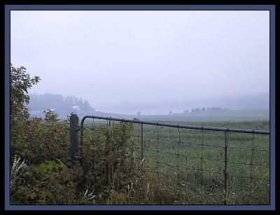 misty farm and gate 1.JPG