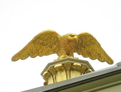 Eagle by Benjamin Rush (reproduction)9021