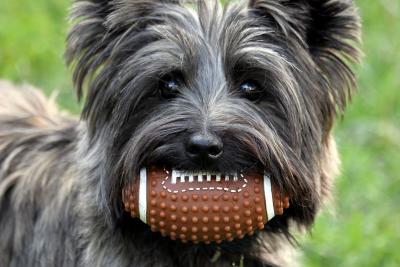 Gemma with football.jpg