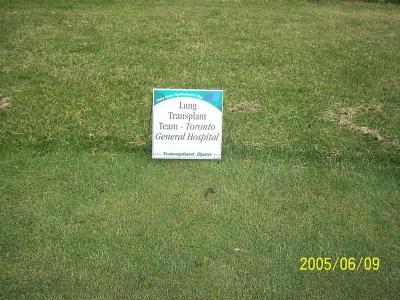 Hole Sponsored by the Lung Transplant Team, Toronto General Hospital