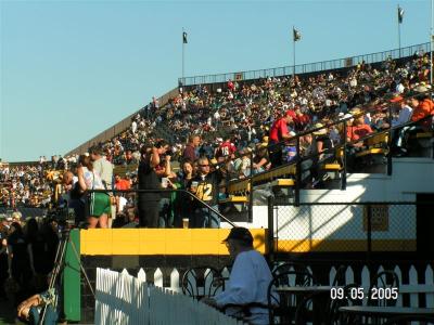 v3/46/475146/3/48942255.090505Football025.jpg