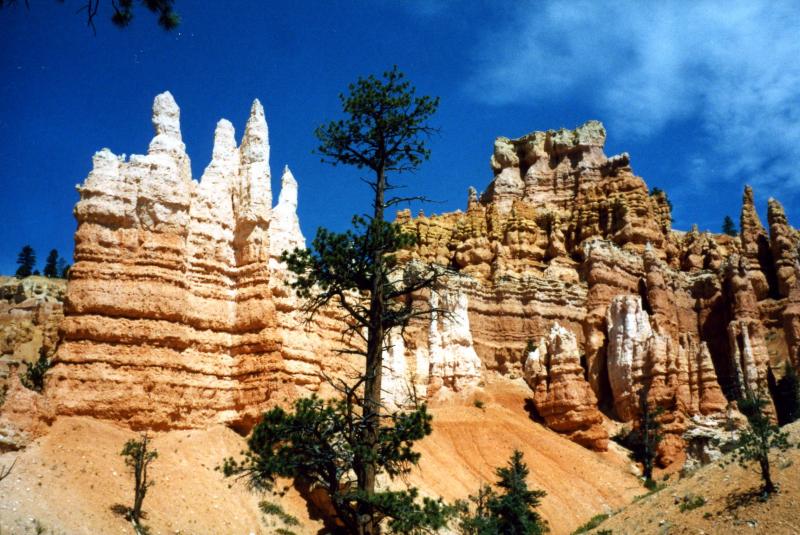 Bryce_QueensGardenTrail.jpg