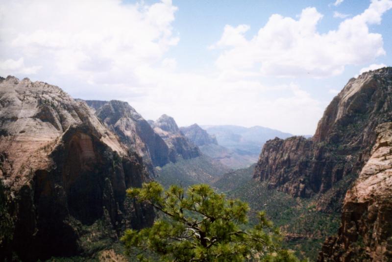 Zion_Cyn_from_WestRimTrail.jpg