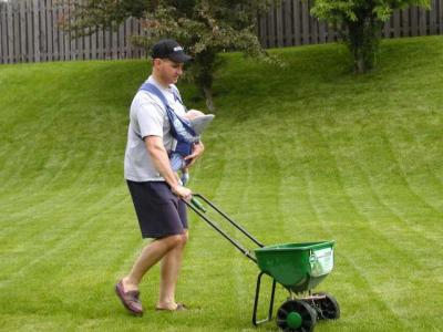 dad and joe fertilize the lawn