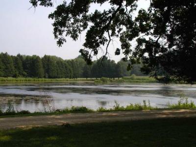 grounds of tallieson