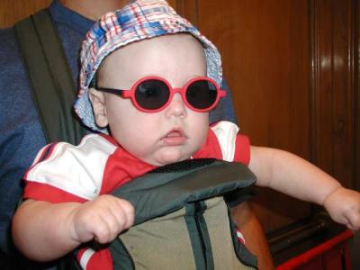 one cool cat- we laughed everytime he wore these glasses