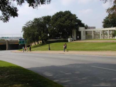 the grassy knoll