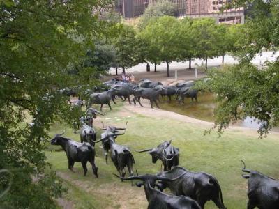 cattle call