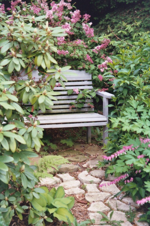 almost hidden bench