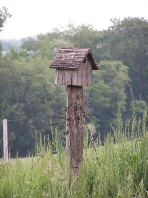 county road birdhouse