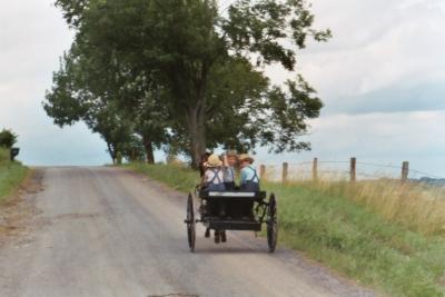 amish boys going home