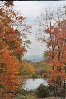 view from overlook at stan hywet