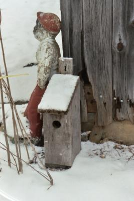 birdhouse on the ground