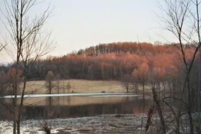 beach city pond in late fall