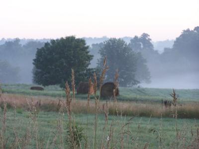 early morning mist