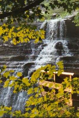 brandywine falls