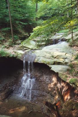 blue hen falls