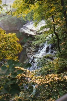 brandywine falls again