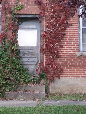gray door with red vines