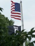 flags on the square