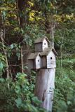 birdhouse condo