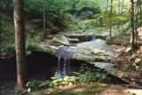 blue hen falls