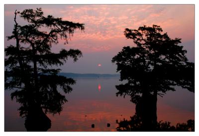 Sunrise at reelfoot