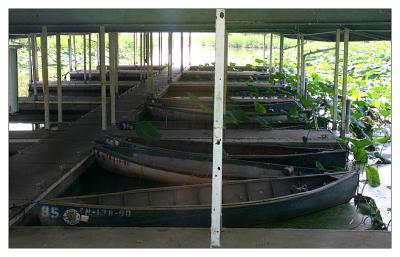 Old Boats at reelfoot