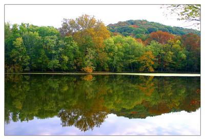 Reflection at radnor lake