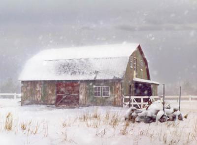 Snowy Abitibi - Tempte en Abitibi