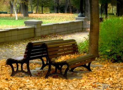 Bancs jumeaux - Twin benches