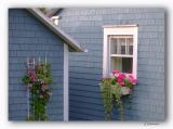 Blooming little Houses  -Maisons fleuries
