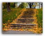 Grand escalier du Parc