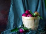 Pommes sur nappe verte - Green cloth with a basket