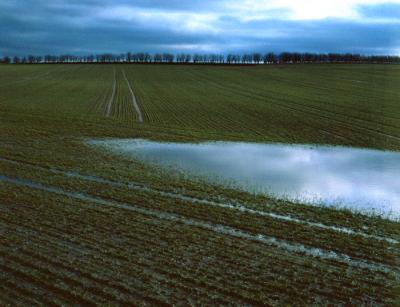 v3/46/604746/3/51132807.Jylland.jpg