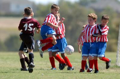 fall20040144.jpg