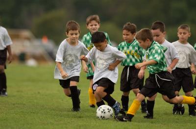2003fall0011.jpg